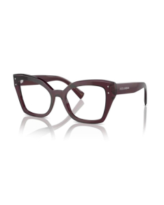 Dolce&Gabbana 3386 3045 53