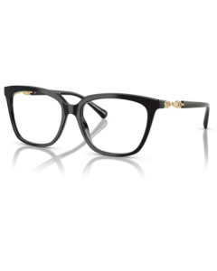 Emporio Armani 3248 5017 55
