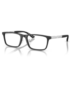 Emporio Armani 3251D 5001 55