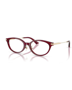 Jimmy Choo 3029D 5062 52