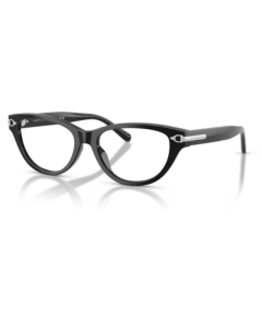 Ralph Lauren 6257U 5001 52