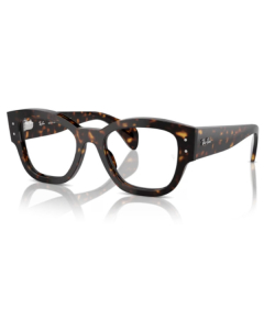 Ray-Ban® 7681V 2012 52 Jorge