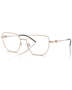 Emporio Armani 1176 3011 53