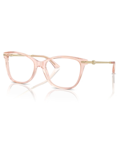 Jimmy Choo 3007HB 5034 54