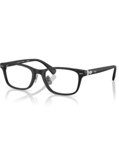 Polo Ralph Lauren 2286D 5389 53