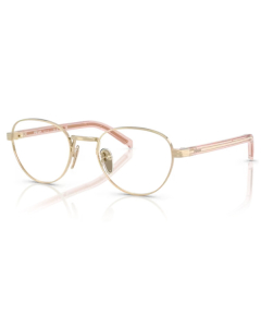 Prada B53V ACX1O1 49