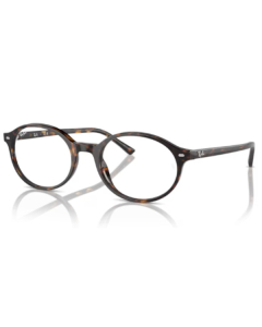 Ray-Ban® 5429 2012 53 German