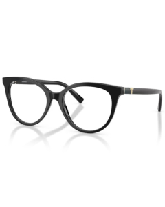 Tiffany&Co. 2277 8001 53