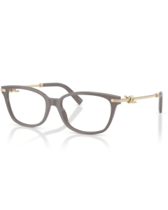 Tiffany&Co. 2281 8401 51